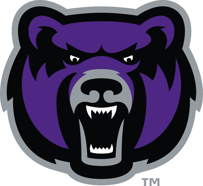 Central Arkansas Bears 2009-Pres Alternate Logo 02 iron on paper